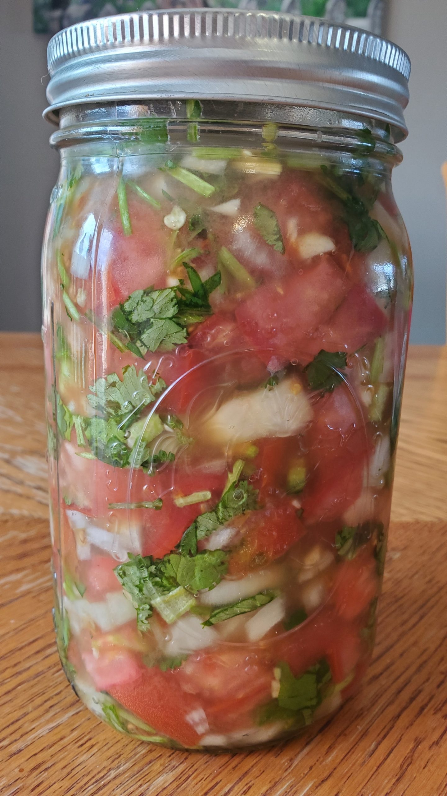 Fermented Pico de Gallo - Vintage Kiwi